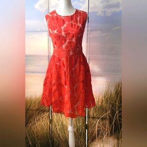 Retro Embroided Red Dress
